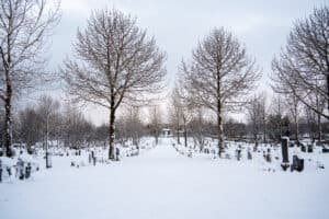 Gufunesgarður vetur