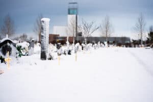 Kópavogsgarður vetur